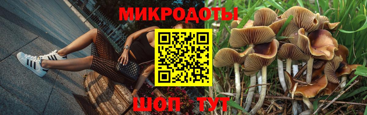 Галлюциногенные грибы ЛСД  Вход с VPN  Удомля 